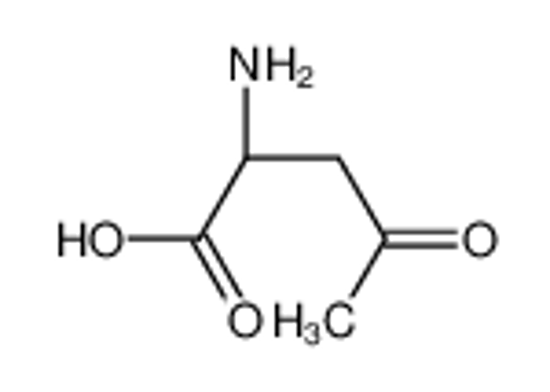 Imagem de (2R)-2-amino-4-oxopentanoic acid