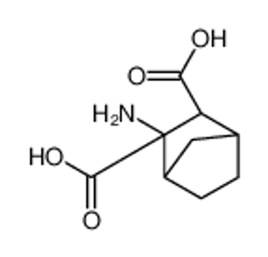 Picture of (1S,2R,3S,4R)-3-aminobicyclo[2.2.1]heptane-2,3-dicarboxylic acid