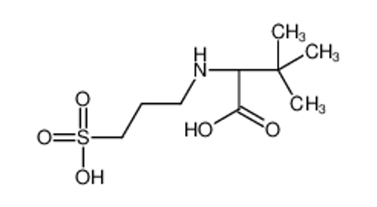 Изображение (2S)-3,3-dimethyl-2-(3-sulfopropylamino)butanoic acid