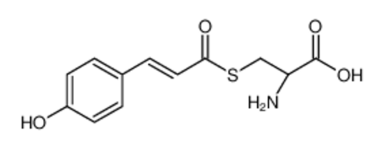 Picture of (2R)-2-amino-3-[3-(4-hydroxyphenyl)prop-2-enoylsulfanyl]propanoic acid