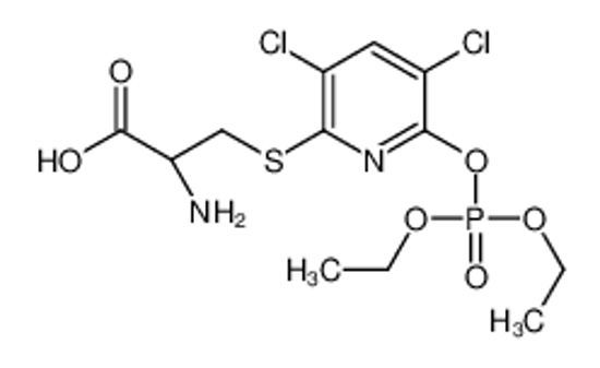 Picture of (2R)-2-amino-3-(3,5-dichloro-6-diethoxyphosphoryloxypyridin-2-yl)sulfanylpropanoic acid