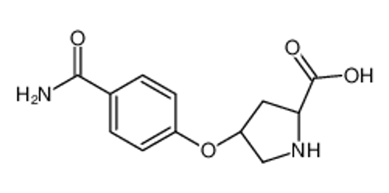 Picture of (2S,4S)-4-(4-carbamoylphenoxy)pyrrolidine-2-carboxylic acid