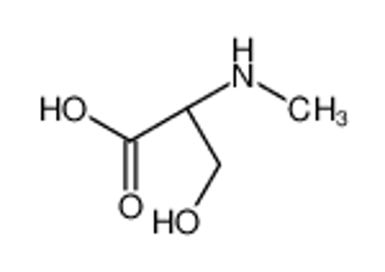 Picture of (2R)-3-hydroxy-2-(methylamino)propanoic acid
