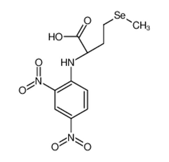 Изображение (2S)-2-(2,4-dinitroanilino)-4-methylselanylbutanoic acid