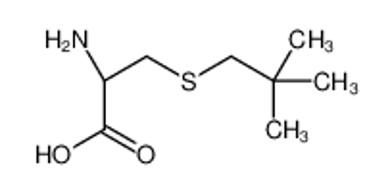 Picture of (2R)-2-amino-3-(2,2-dimethylpropylsulfanyl)propanoic acid