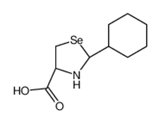 Изображение (4S)-2-cyclohexyl-1,3-selenazolidine-4-carboxylic acid