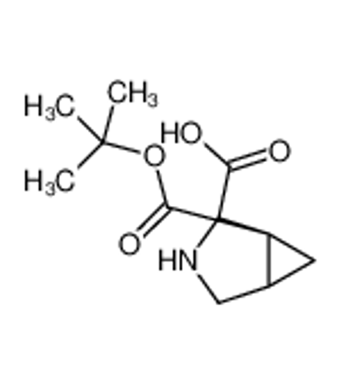 Picture of (1S,5R)-1-[(2-methylpropan-2-yl)oxycarbonyl]-3-azabicyclo[3.1.0]hexane-2-carboxylic acid