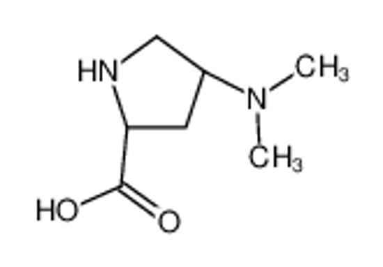 Picture of (2S,4R)-4-(dimethylamino)pyrrolidine-2-carboxylic acid