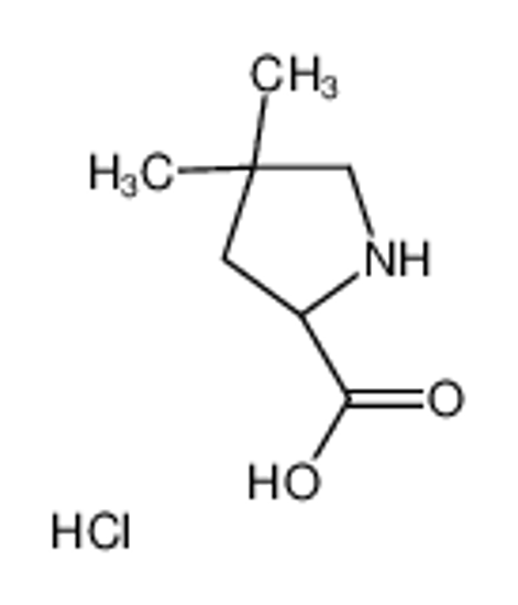 Picture of (2S)-4,4-dimethylpyrrolidine-2-carboxylic acid,hydrochloride