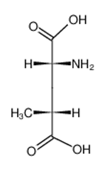 Picture of (2R,4R)-4-methylglutamic acid