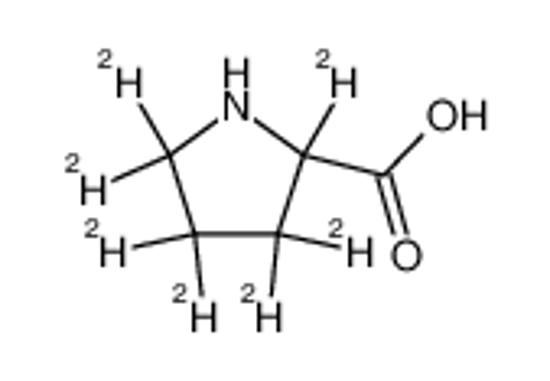 Picture of DL-Proline-d7 Hydrochloride
