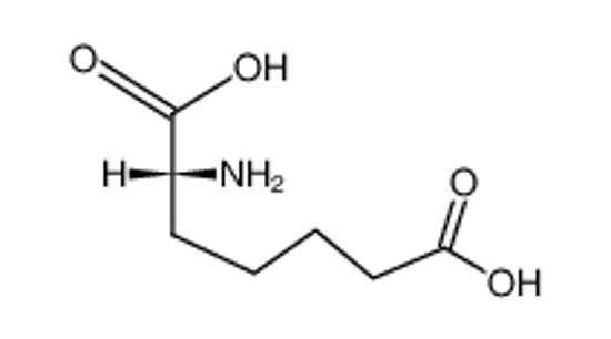 Picture of D-alpha-Aminopimelic acid