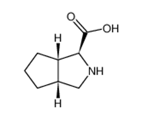 Изображение (1S,3aR,6aS)-octahydrocyclopenta[c]pyrrole-1-carboxylic acid