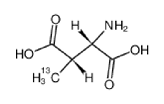 Picture of [5-13C]-(2S,3S)-3-methylaspartic acid