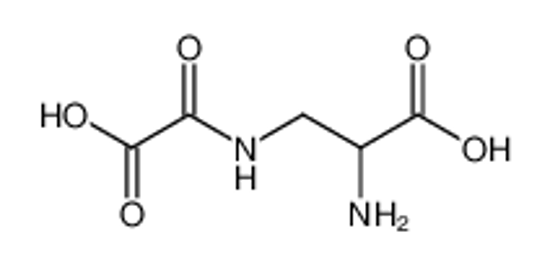 Picture of β-N-oxalyl-α,β-diaminopropionic acid