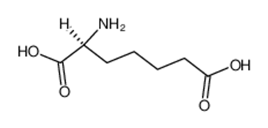 Picture of (2S)-L-α-Aminopimelic acid