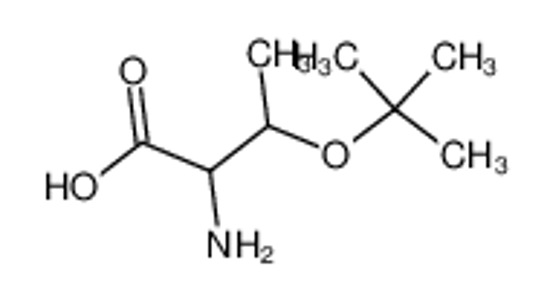 Imagem de H-Thr(t-Bu)-OH