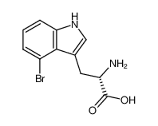 Picture of (S)-4-bromotryptophan