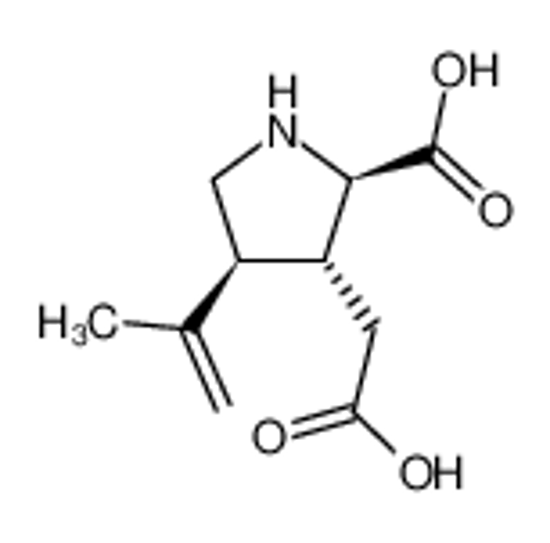 Imagem de (+/-)-allokainic acid