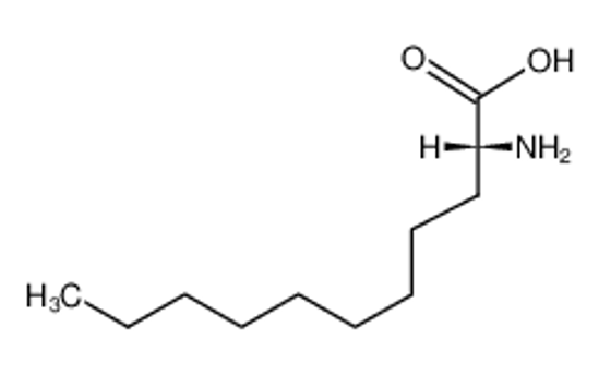 Picture of (R)-2-amino-undecanoic acid