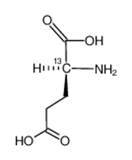 Изображение [2-13C]-L-glutamic acid