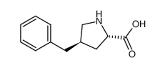 Imagem de (2S,4R)-4-benzyl-pyrrolidine-2-carboxylic acid
