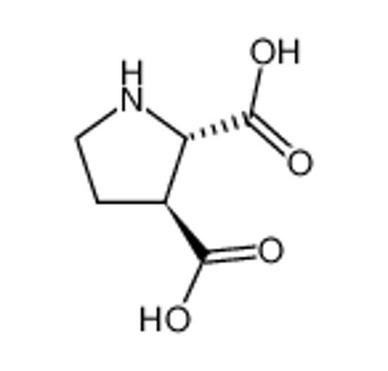 Picture of (+/-)-Pyrrolidine-2,3-dicarboxylic acid