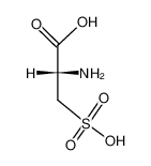 Picture of D-Cysteic acid
