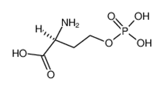 Picture of O-phospho-L-homoserine