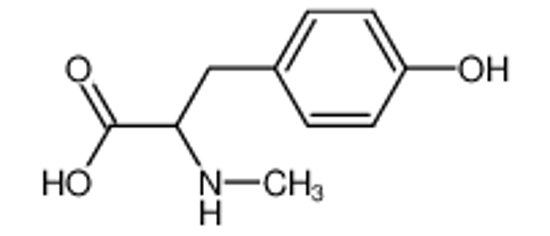 Picture of N-methyltyrosine
