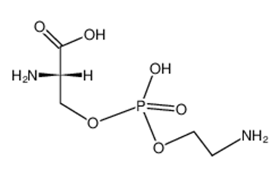Picture of L-serine ethanolamine phosphate
