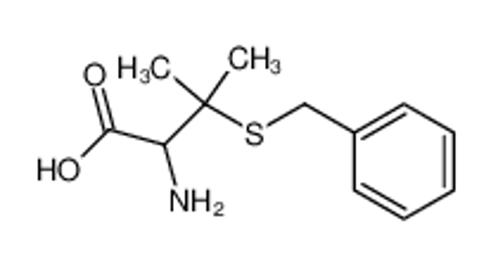 Picture of (+/-)-S-benzylpenicillamine