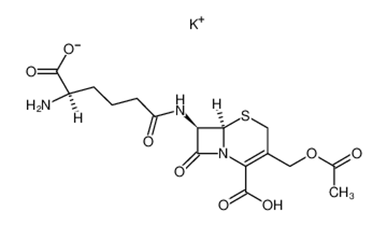 Picture of (6R)-3-acetoxymethyl-7t-((R)-5-amino-5-carboxy-pentanoylamino)-8-oxo-(6rH)-5-thia-1-aza-bicyclo[4.2.0]oct-2-ene-2-carboxylic acid, monopotassium salt