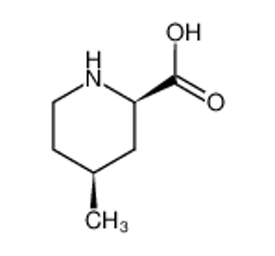 Изображение (+/-)-cis-4-methylpipecolic acid