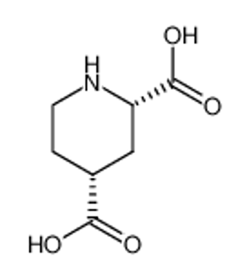 Picture of cis-2,4-piperidinedicarboxylic acid