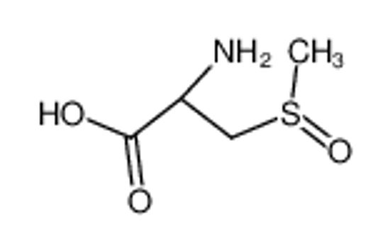 Picture of S-methylcysteine sulfoxide