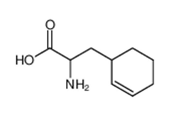 Picture of β-(cyclohexen-2-yl)alanine