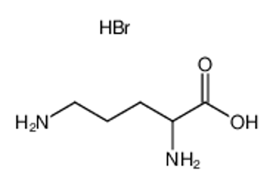 Picture of DL-ornithine hydrobromic