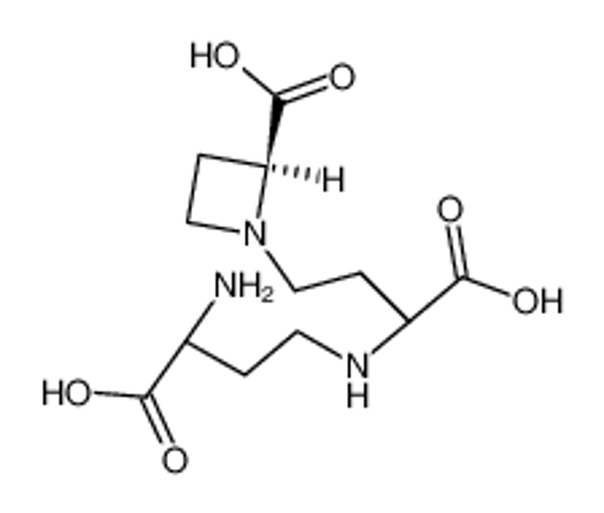 Picture of (2S:3'S:3''S)-N-[N-(3-amino-3-carboxypropyl)-3-amino-3-carboxypropyl]-azetidine-2-carboxylic acid