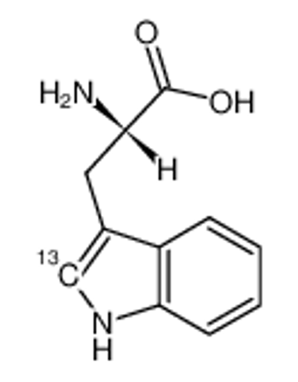 Picture of [indole-2-(13)C]-L-tryptophan