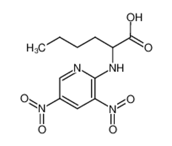 Picture of (+/-)-[3,5-Dinitro-pyridyl-(2)]-norleucin