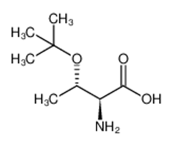 Picture of L-​Allothreonine, O-​(1,​1-​dimethylethyl)​-