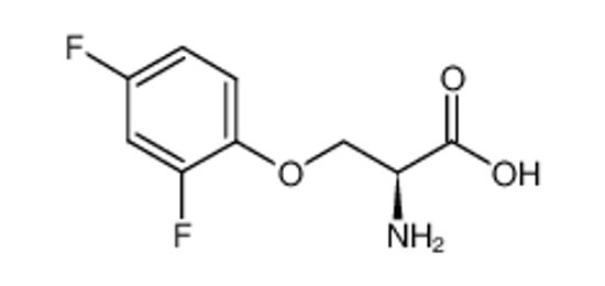 Picture of (R)-2-amino-3-(2,4-difluorophenoxy)propionic acid