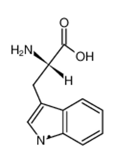 Picture of tryptophan(-H) radical