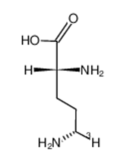 Picture of (2RS,5S)-[5-(3)H]Ornithine