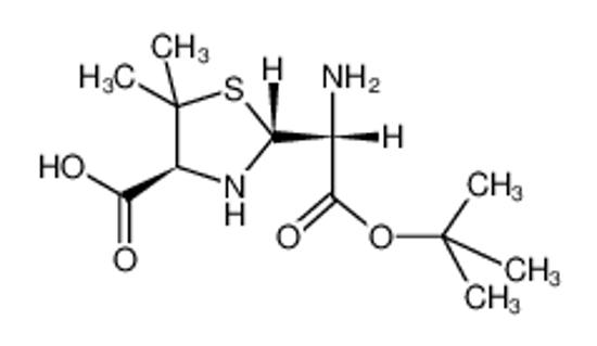 Picture of (4S)-2t-((R)-amino-tert-butoxycarbonyl-methyl)-5,5-dimethyl-thiazolidine-4r-carboxylic acid