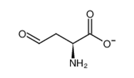 Picture of (S)-aspartate-β-semialdehyde