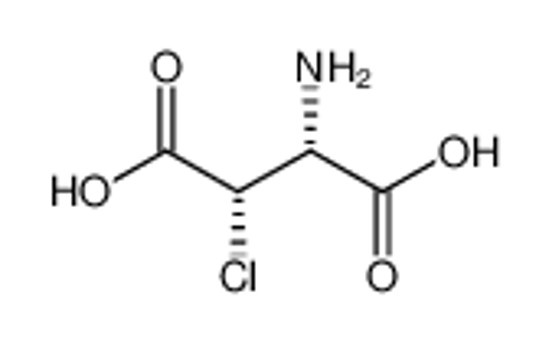 Изображение threo-(2R,3S)-3-chloroaspartic acid
