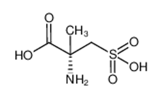 Picture of D(S)-2-methylcysteic acid