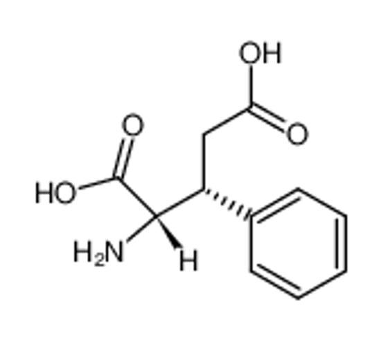 Picture of (2S,3R)-3-phenyl-glutamic acid